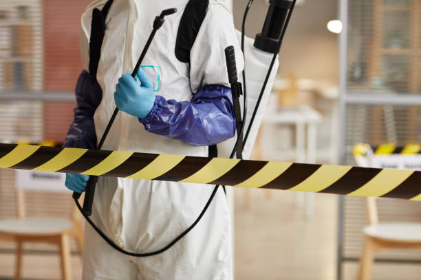 Professional Hoarding Cleanup technician working in Hainesport, NJ